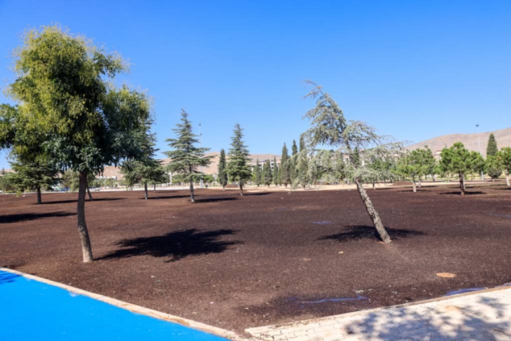 Konya'nın en uzun bisiklet ve yürüyüş yolu bu parkta! 4